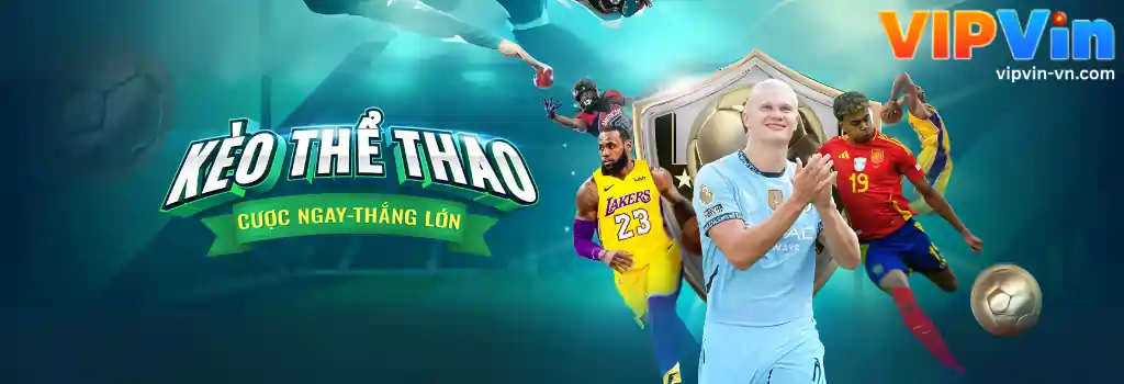 Tin Tức VIPVIN – Cập Nhật Nhanh & Chính Xác